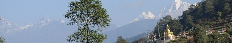 Himalayan village scene